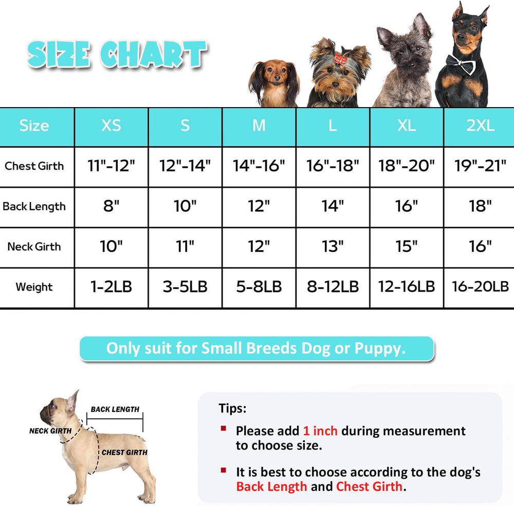 Small Dog Raincoat & Rain Shoes Set,Full - Coverage - Pawtique