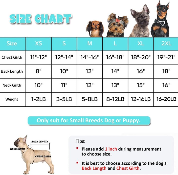 Small Dog Raincoat & Rain Shoes Set,Full - Coverage - Pawtique