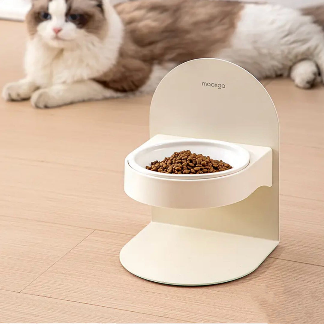 Bowls & Feeders - Pawtique