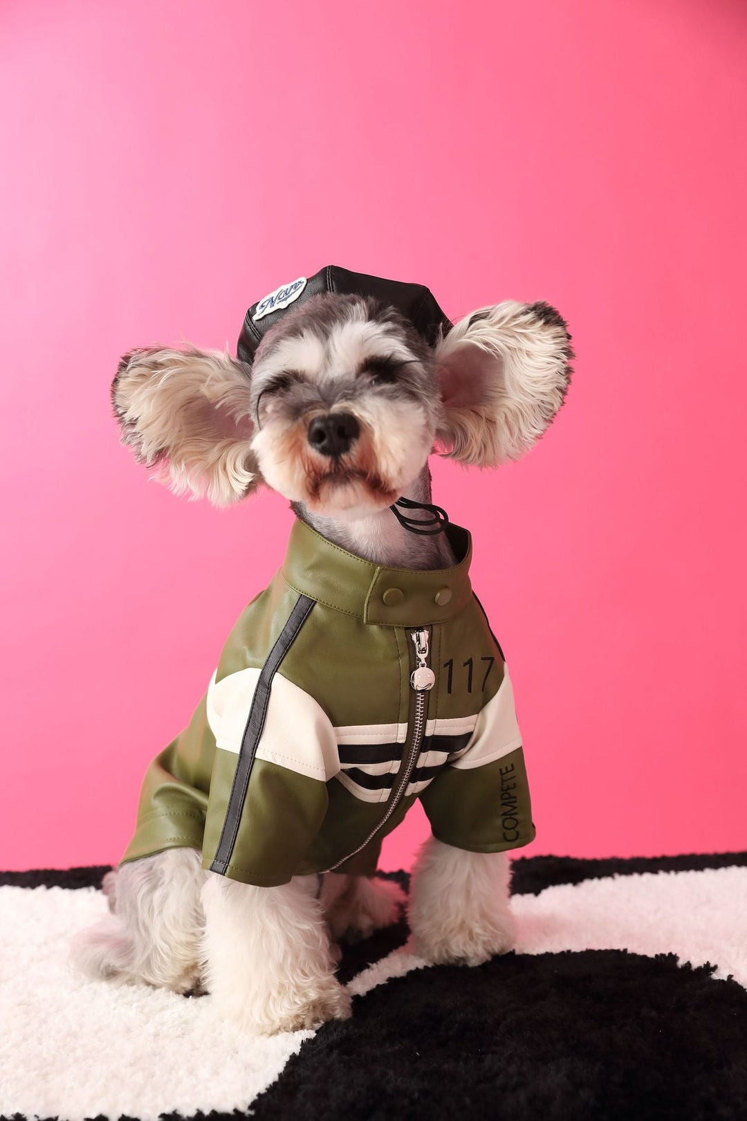 Boys - Pawtique
