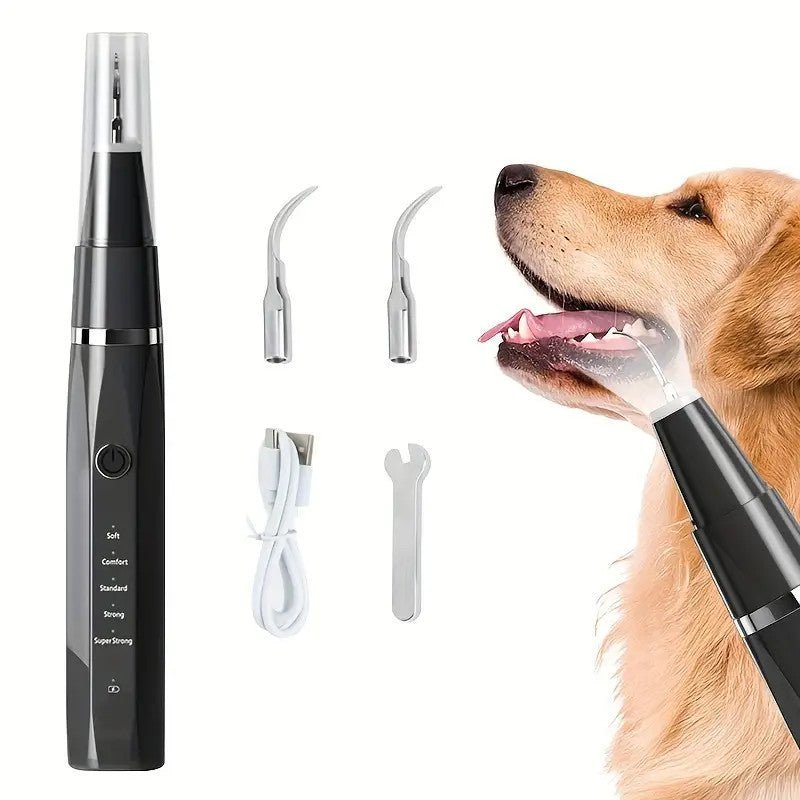 Dental Care - Pawtique