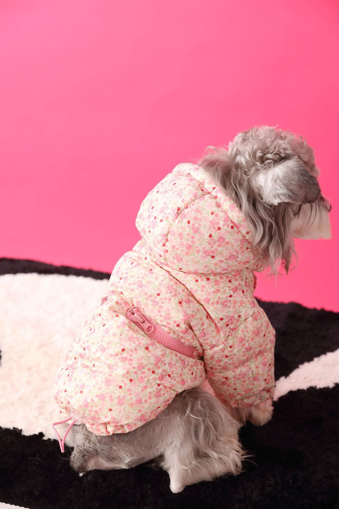 Jackets & Coats - Pawtique