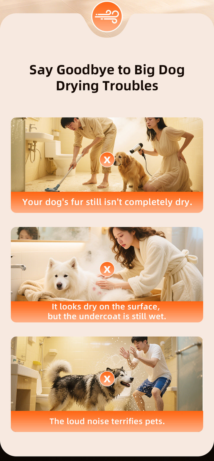 L&W BROS. Pet Dryer: Power Meets Quiet Comfort