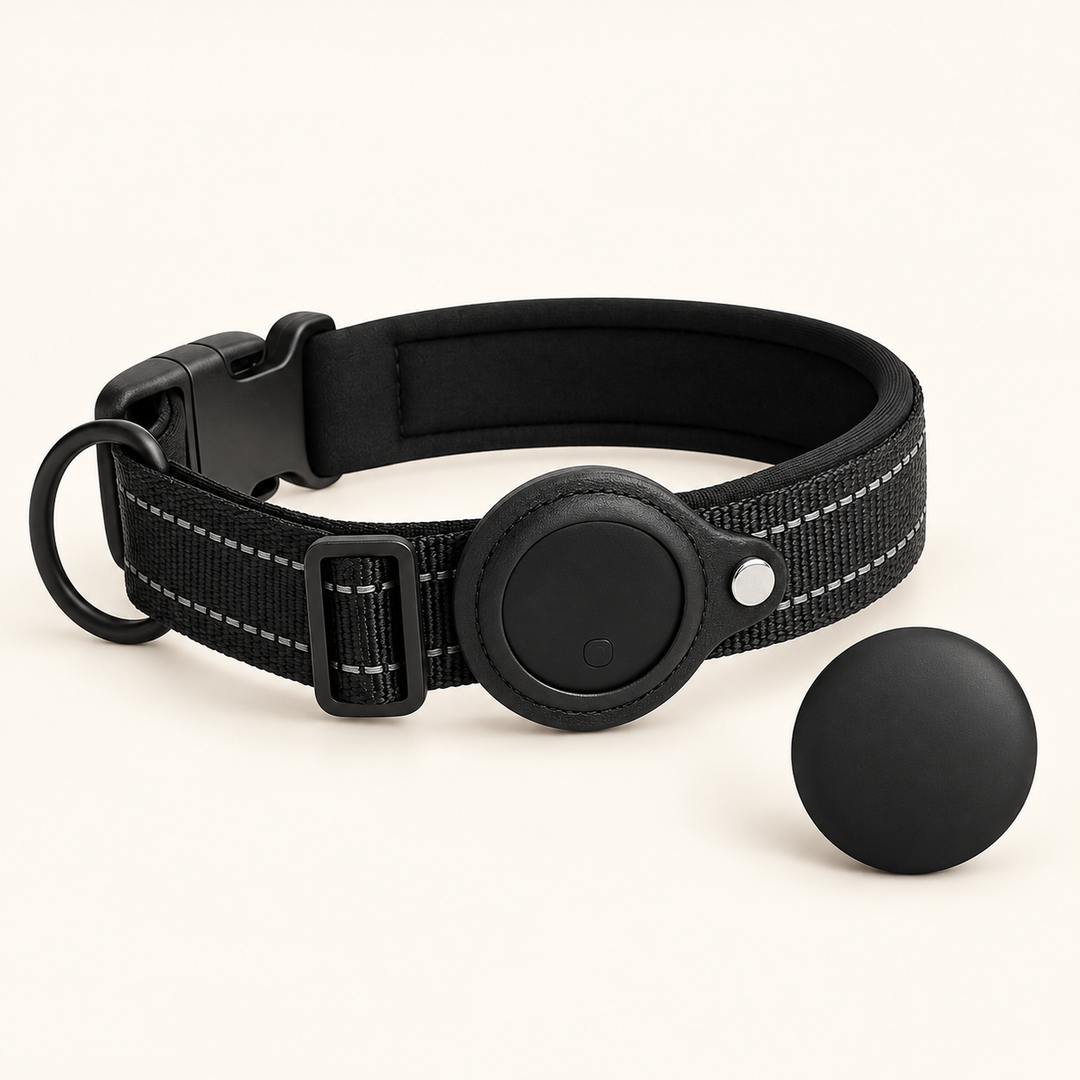 Black Pawtique TraceTag reflective smart finder collar with round finder tag