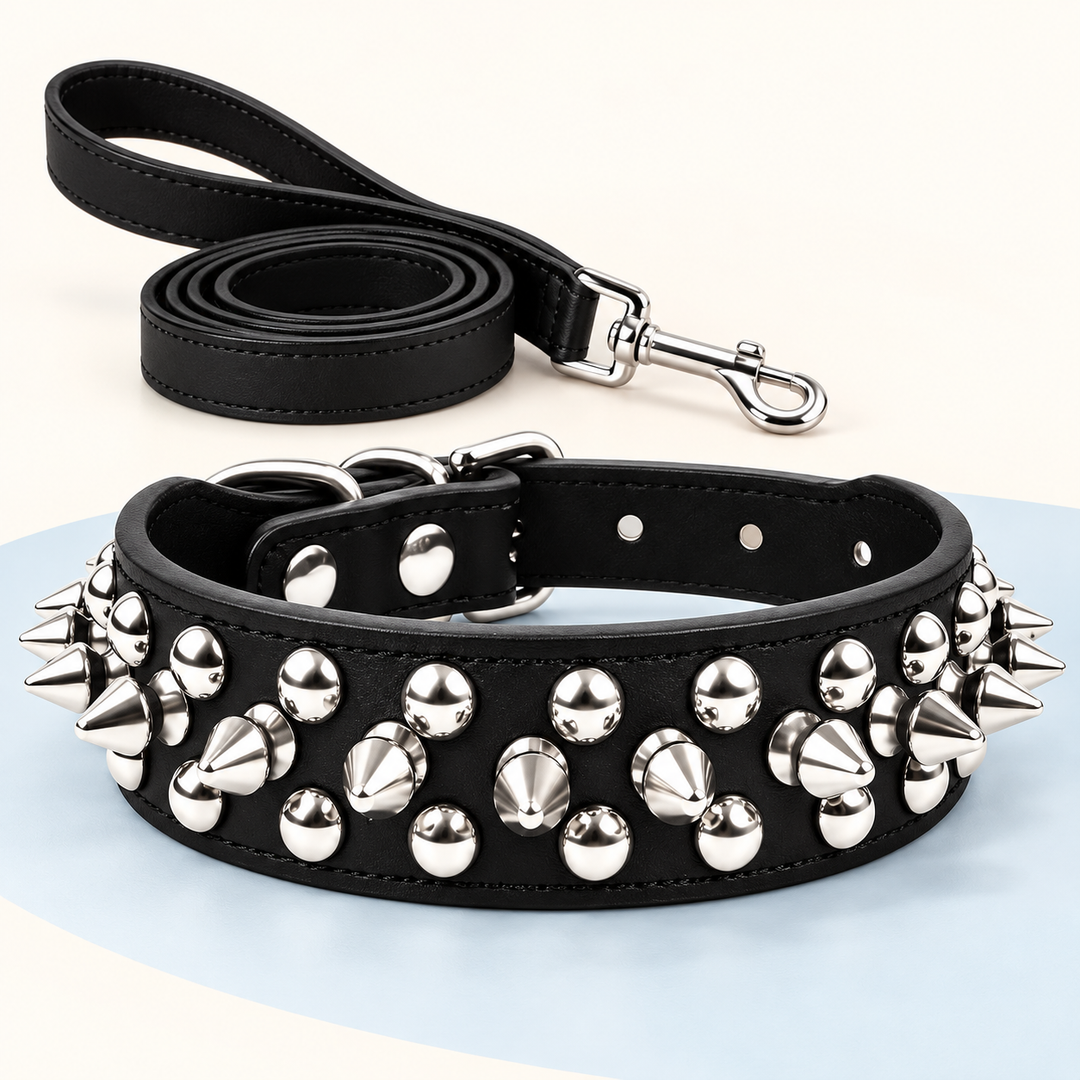 Pawtique RivetEdge black spiked dog collar and matching leash set