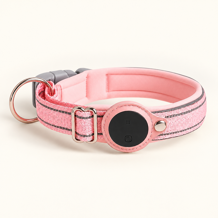 Pink Pawtique TraceTag reflective smart finder collar with round finder tag