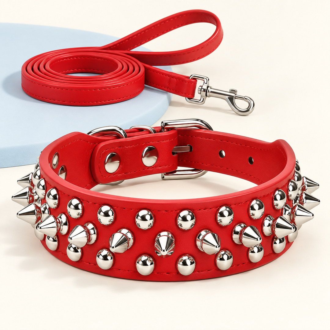 Pawtique RivetEdge red spiked dog collar and matching leash set