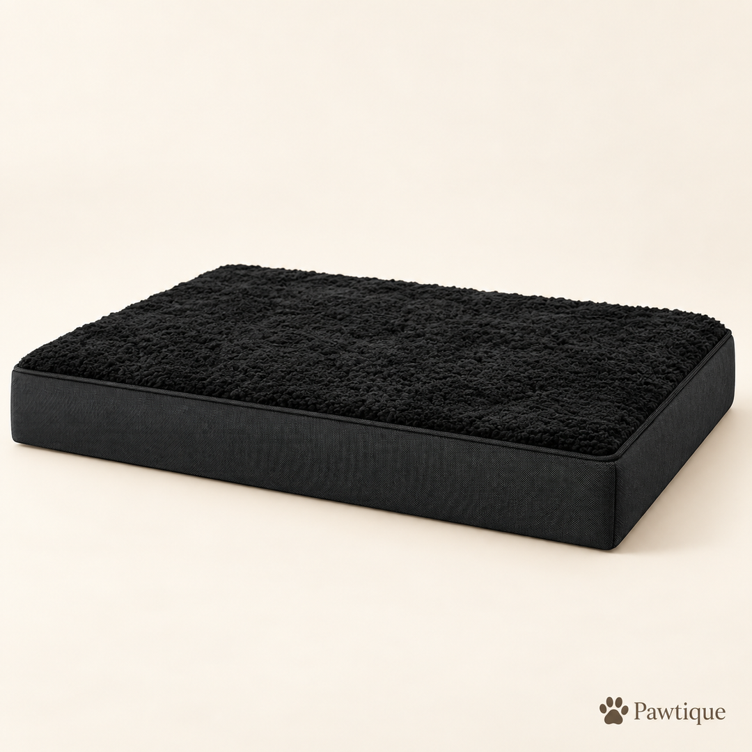 Pawtique CloudRest orthopedic dog bed in Black