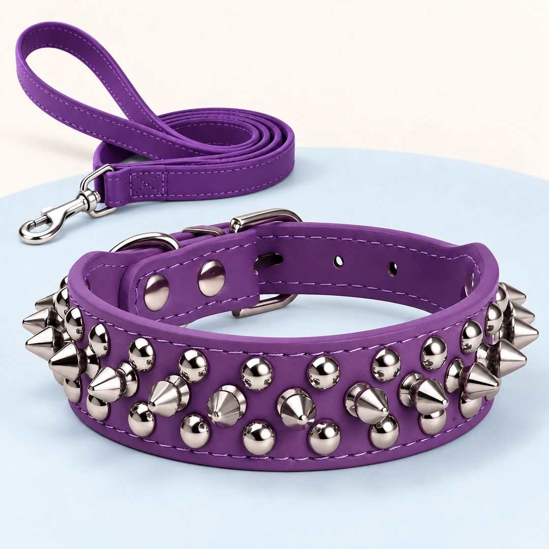 Pawtique RivetEdge purple spiked dog collar and matching leash set