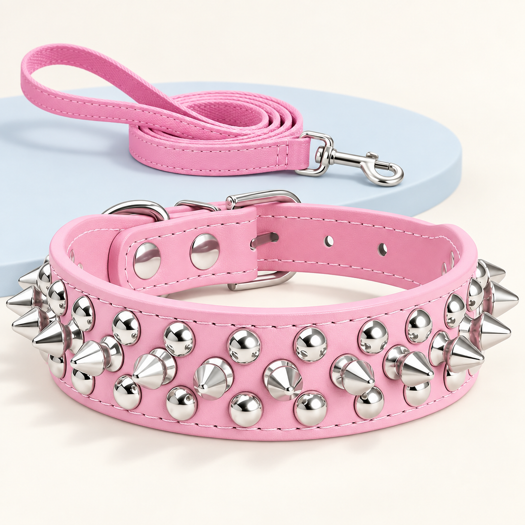Pawtique RivetEdge pink spiked dog collar and matching leash set