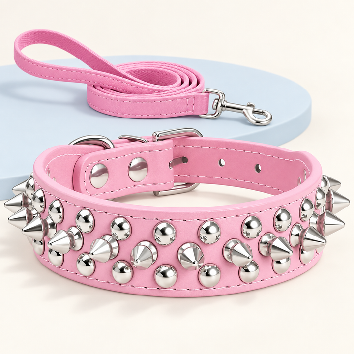 Pawtique RivetEdge pink spiked dog collar and matching leash set