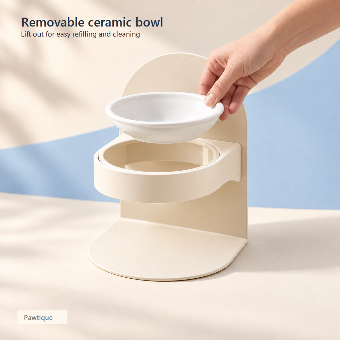 Removable ceramic bowl lifting from the Pawtique adjustable holder