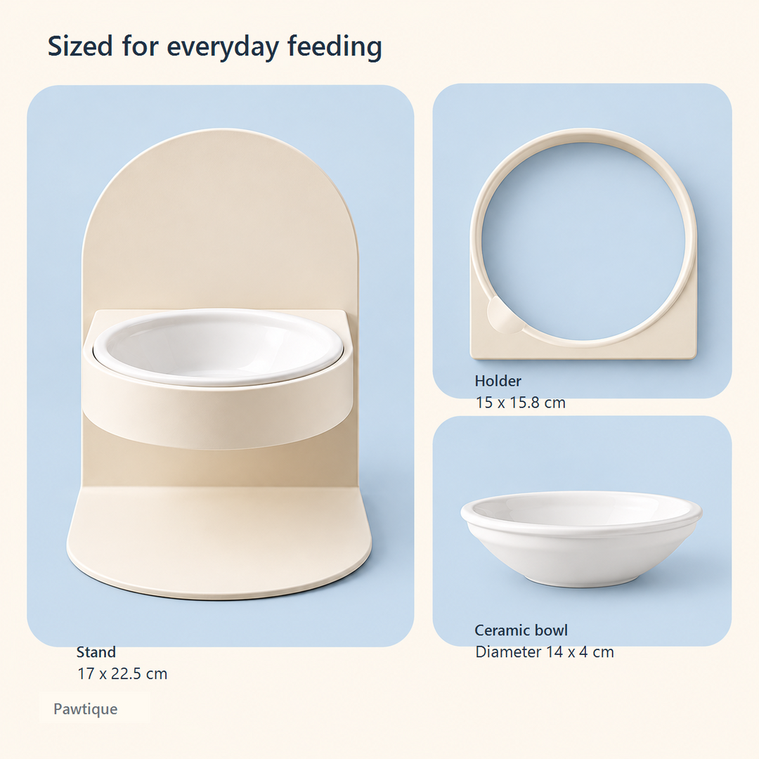 Dimensions of the Pawtique elevated stand holder and ceramic bowl