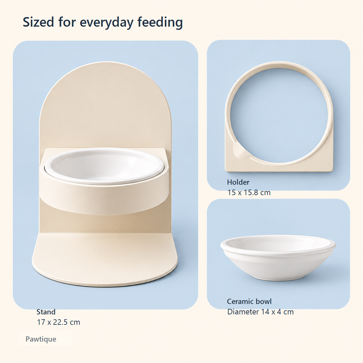 Dimensions of the Pawtique elevated stand holder and ceramic bowl