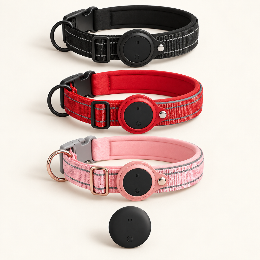 Black red and pink Pawtique TraceTag collar color options with finder tag