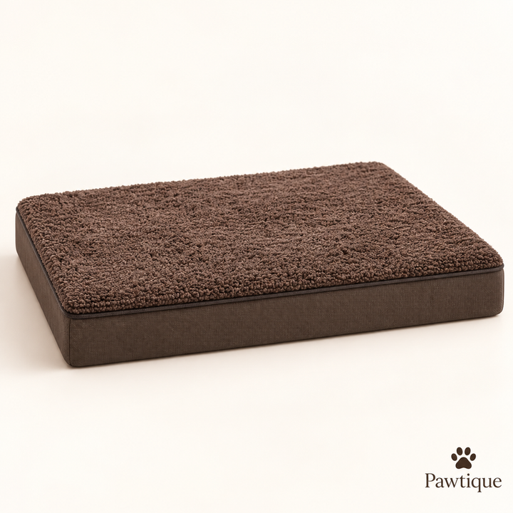 Pawtique CloudRest orthopedic dog bed in Brown