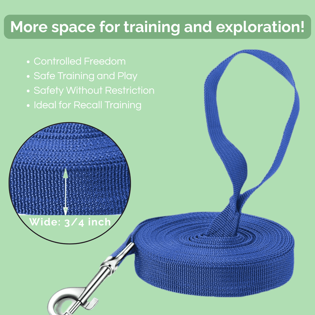 10M Training Line – Extra Long Dog Leash - Pawtique