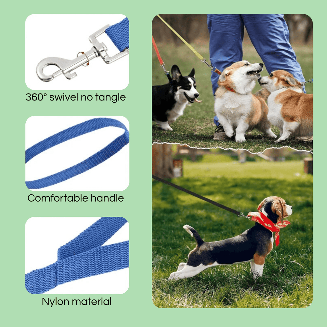 10M Training Line – Extra Long Dog Leash - Pawtique