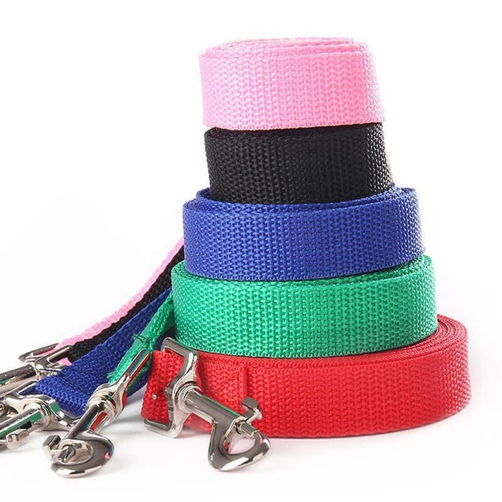 10M Training Line – Extra Long Dog Leash - Pawtique