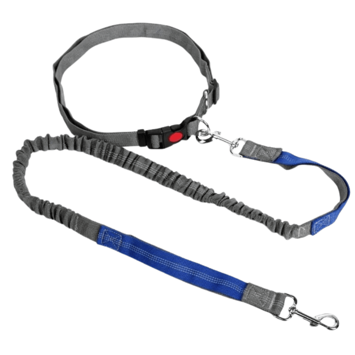 Retractable Hip Belt – Hands-Free Leash