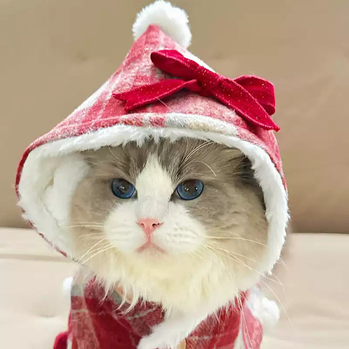 Hooded Cape with Fleece Lining- New Year Cat & Dog Winter