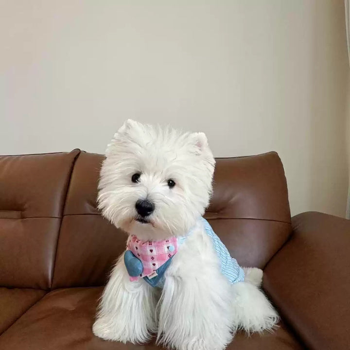 Adjustable Reversible Dog Bandana Bib