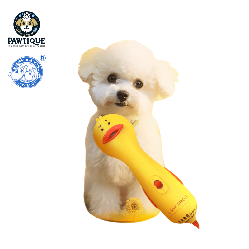 L&W BROS 2 in 1 Pet Hair dryer volumizing tool coat volumizing brush for soft coats