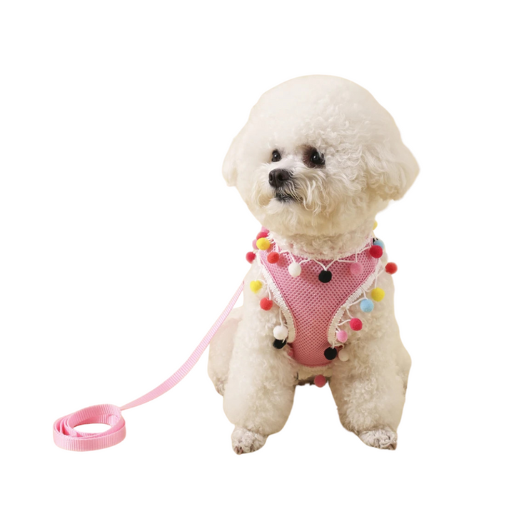 Mesh Small Dog Harness Adjustable Ball Lace Cute Summer