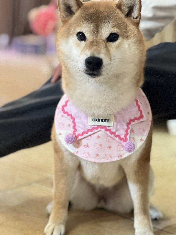 Pink Plaid Bandana bib