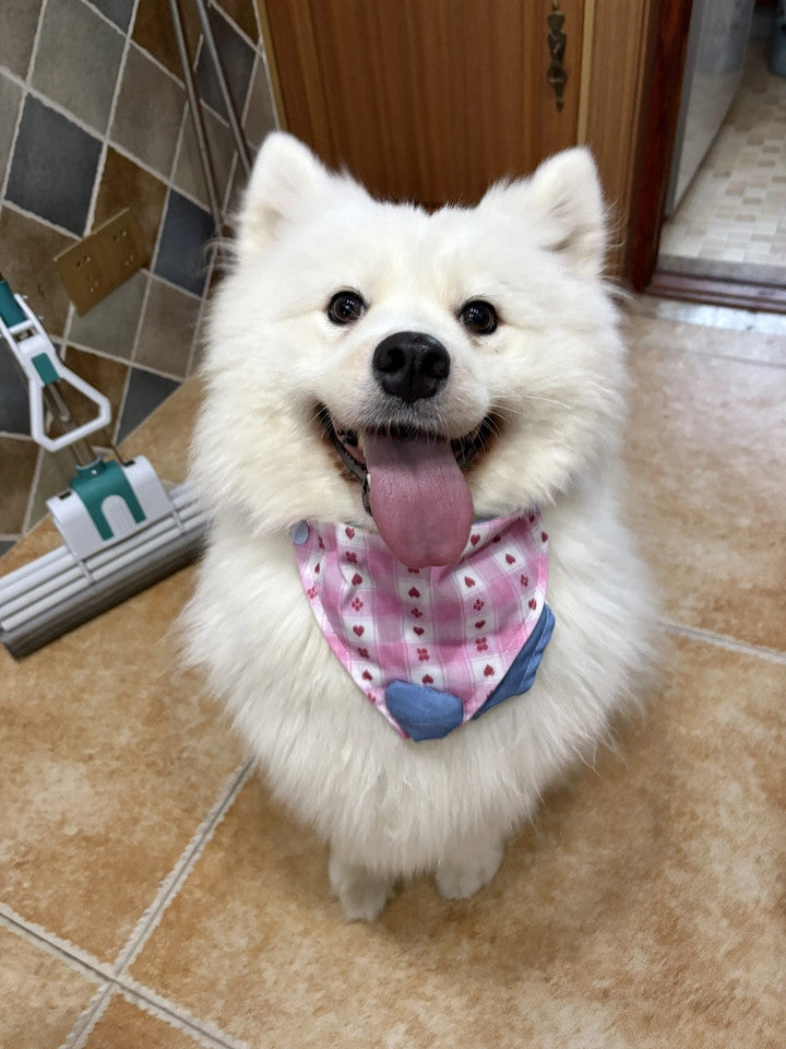 Adjustable Reversible Dog Bandana Bib