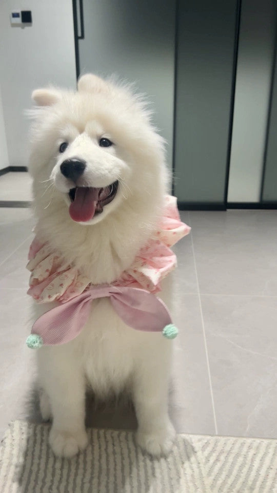 Pink Plaid Bandana bib