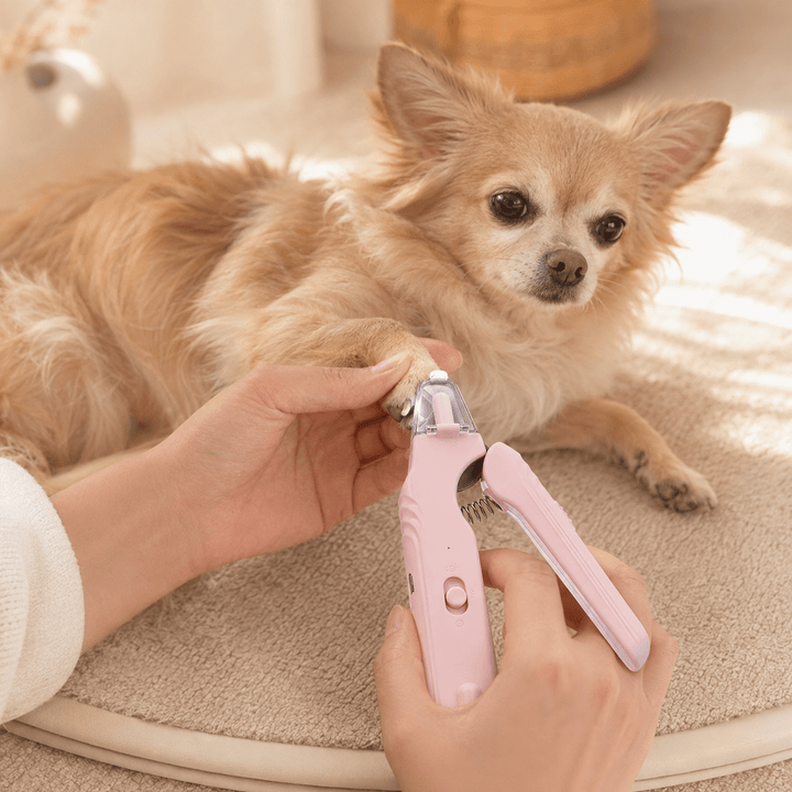 2-in-1 LED Pet Nail Clipper &amp; Grinder - Pawtique