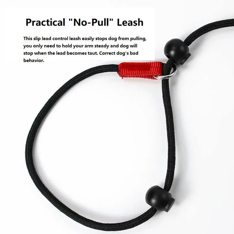 2 - in - 1 Slip Leash &amp; Collar - Pawtique