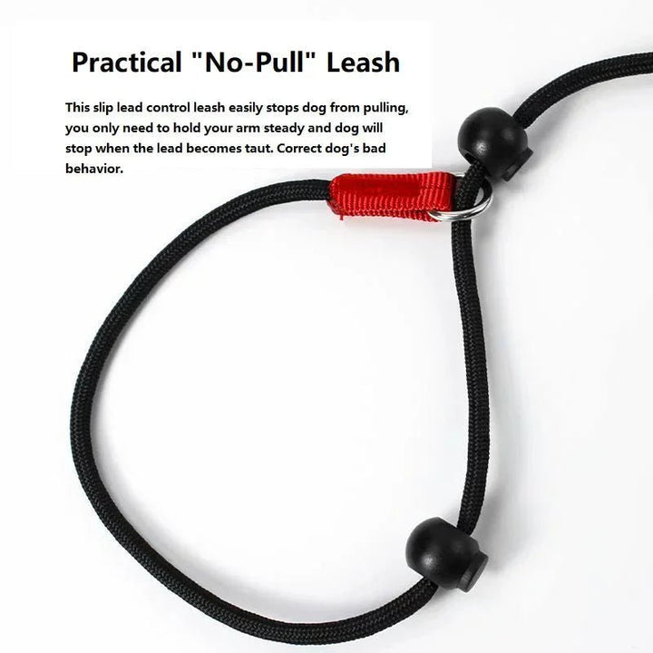 2 - in - 1 Slip Leash &amp; Collar - Pawtique