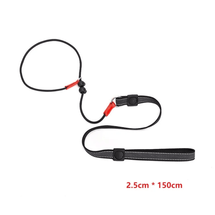 2 - in - 1 Slip Leash &amp; Collar - Pawtique