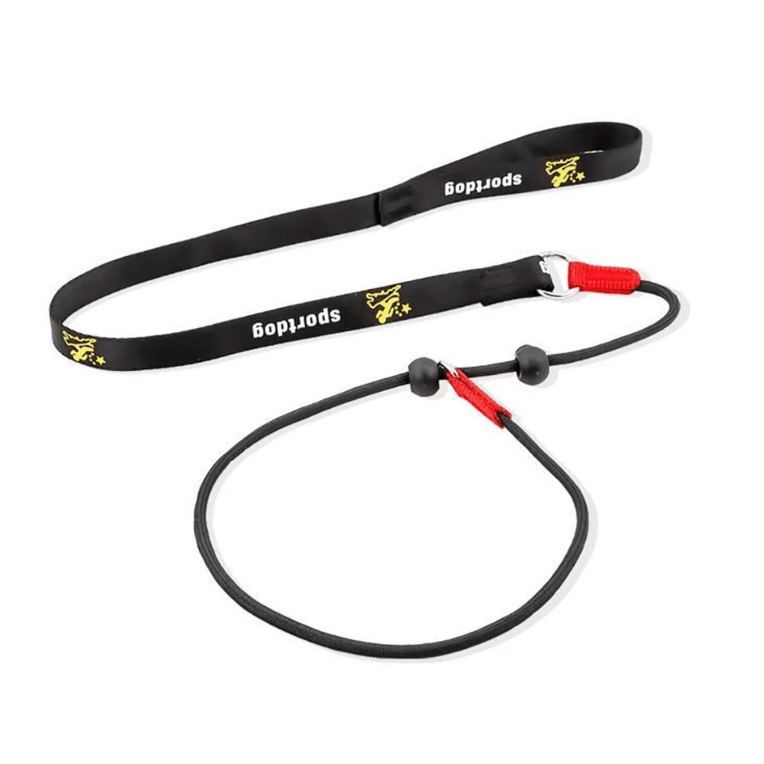 2 - in - 1 Slip Leash & Collar - Pawtique