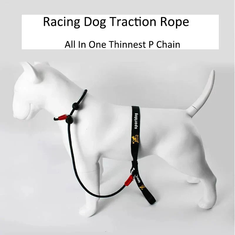 2 - in - 1 Slip Leash &amp; Collar - Pawtique