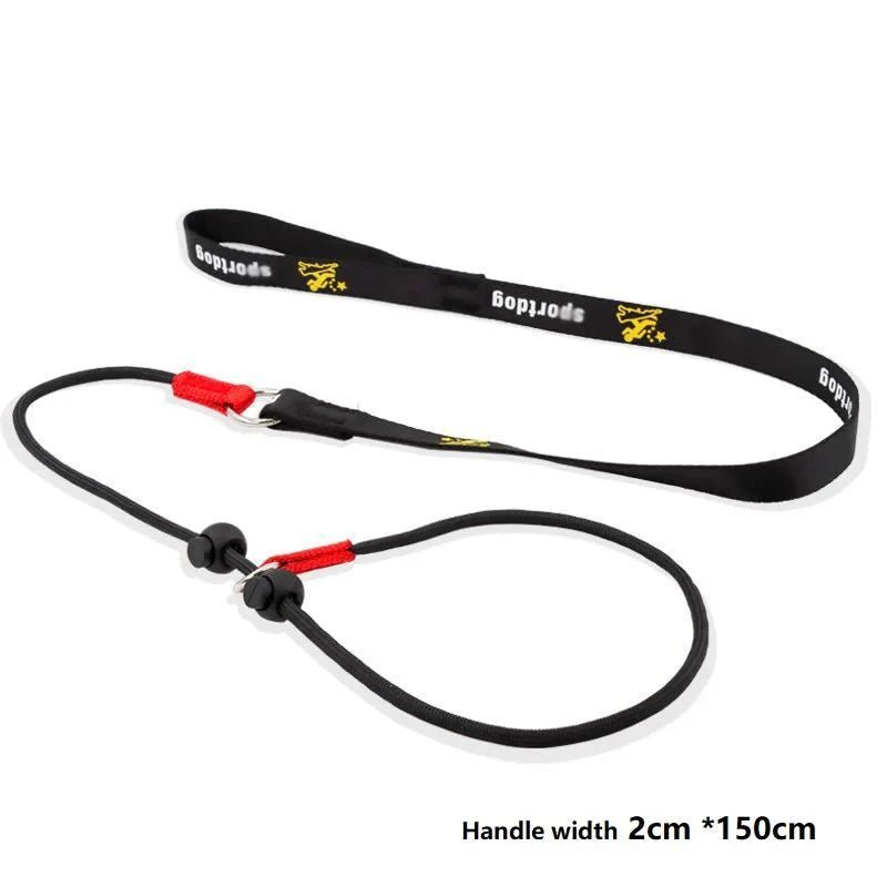 2 - in - 1 Slip Leash &amp; Collar - Pawtique