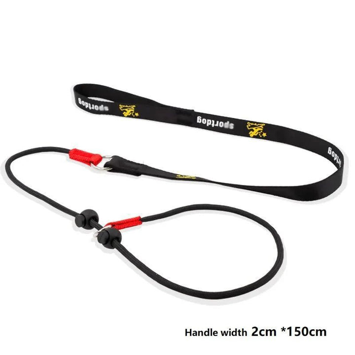 2 - in - 1 Slip Leash &amp; Collar - Pawtique
