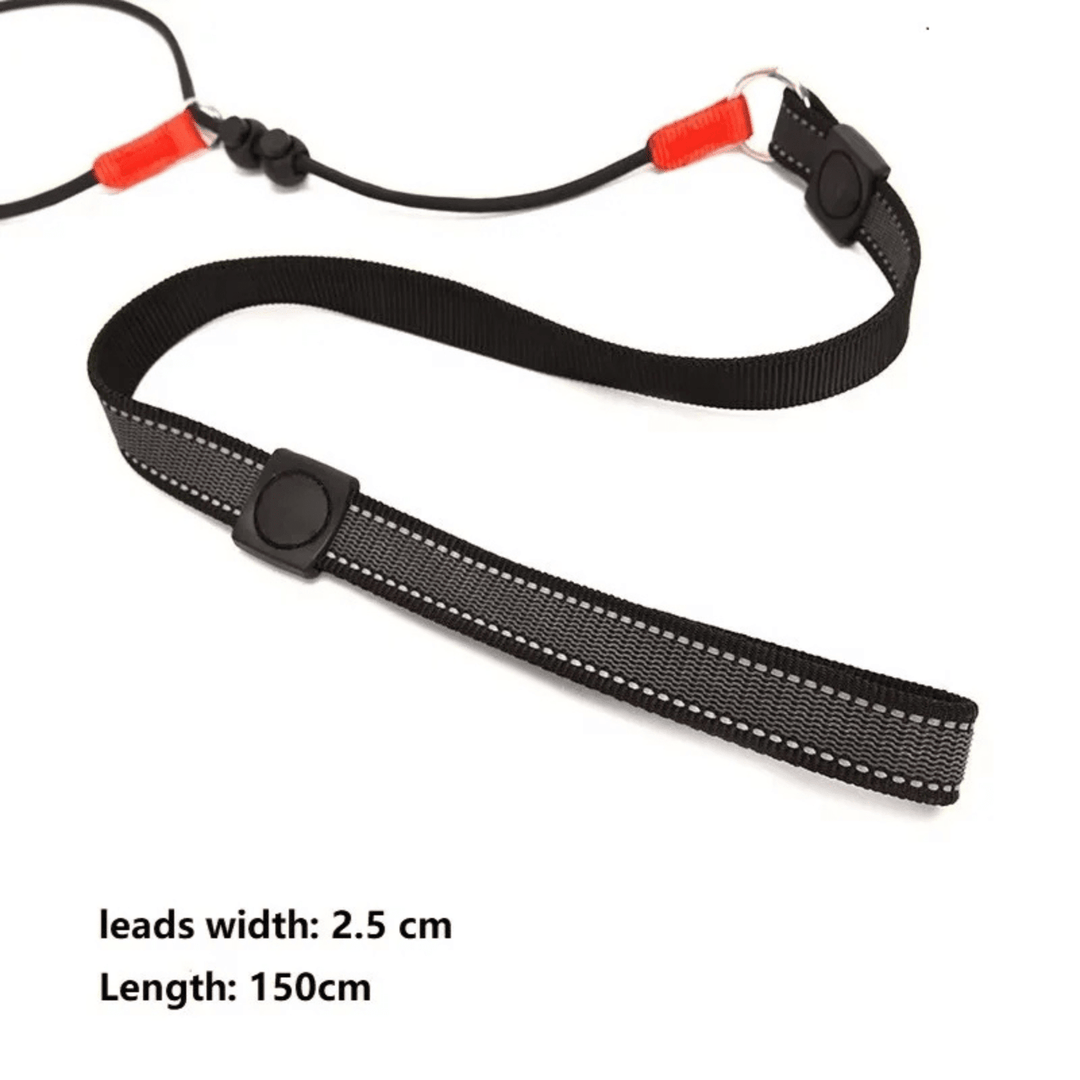 2 - in - 1 Slip Leash &amp; Collar - Pawtique