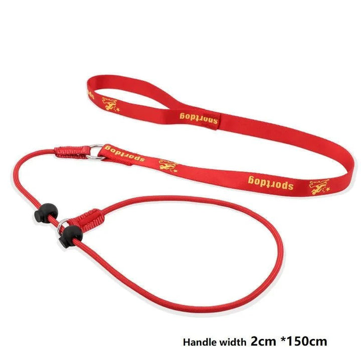 2 - in - 1 Slip Leash &amp; Collar - Pawtique