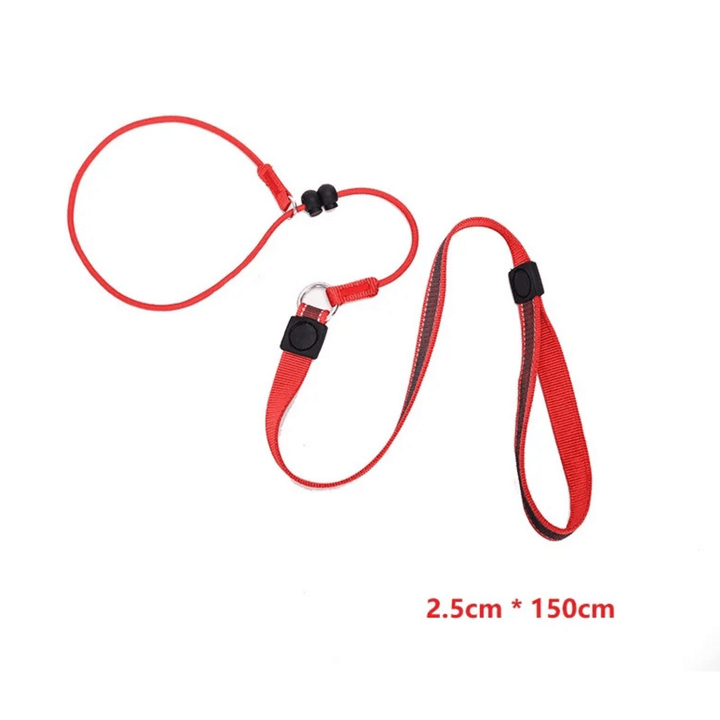 2 - in - 1 Slip Leash &amp; Collar - Pawtique