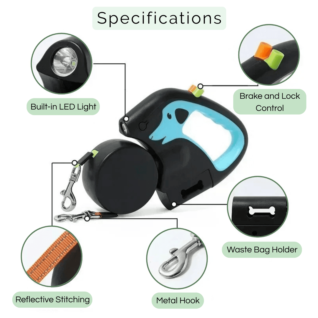 3 - in - 1 Duo Belt with Flashlight - Pawtique