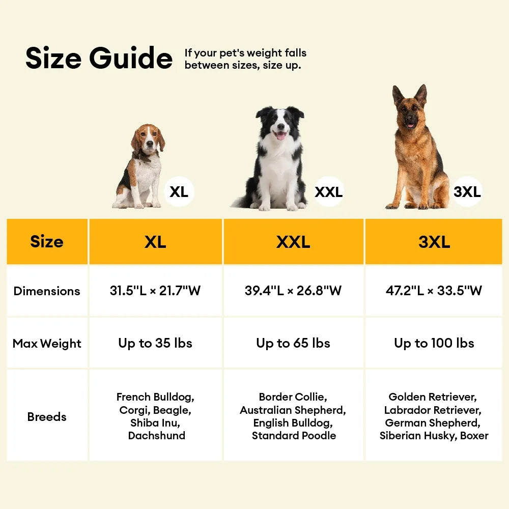 Pawtique LuxeNest™ Orthopedic Bolster Dog Sofa Bed