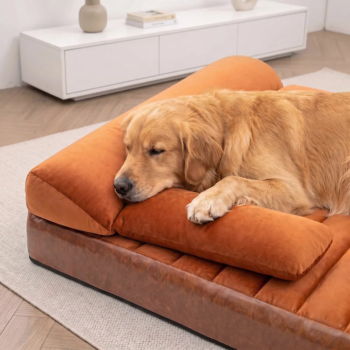 Pawtique LuxeNest™ Orthopedic Bolster Dog Sofa Bed