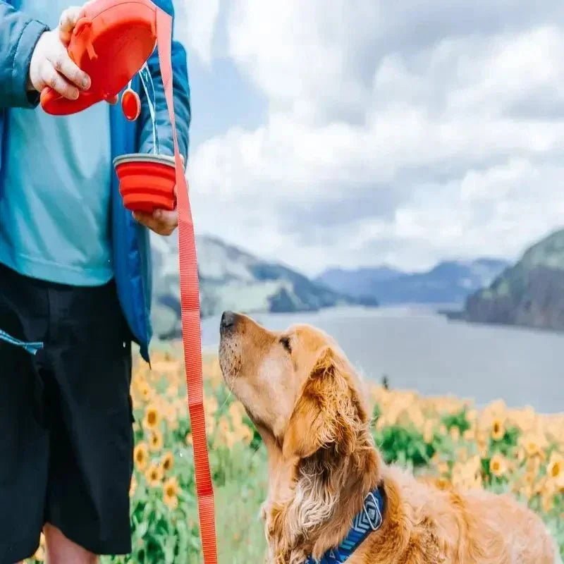 4 - in - 1 Retractable Dog Leash – with Water Bottle, Poop Bag Holder &amp; Food Bowl - Pawtique