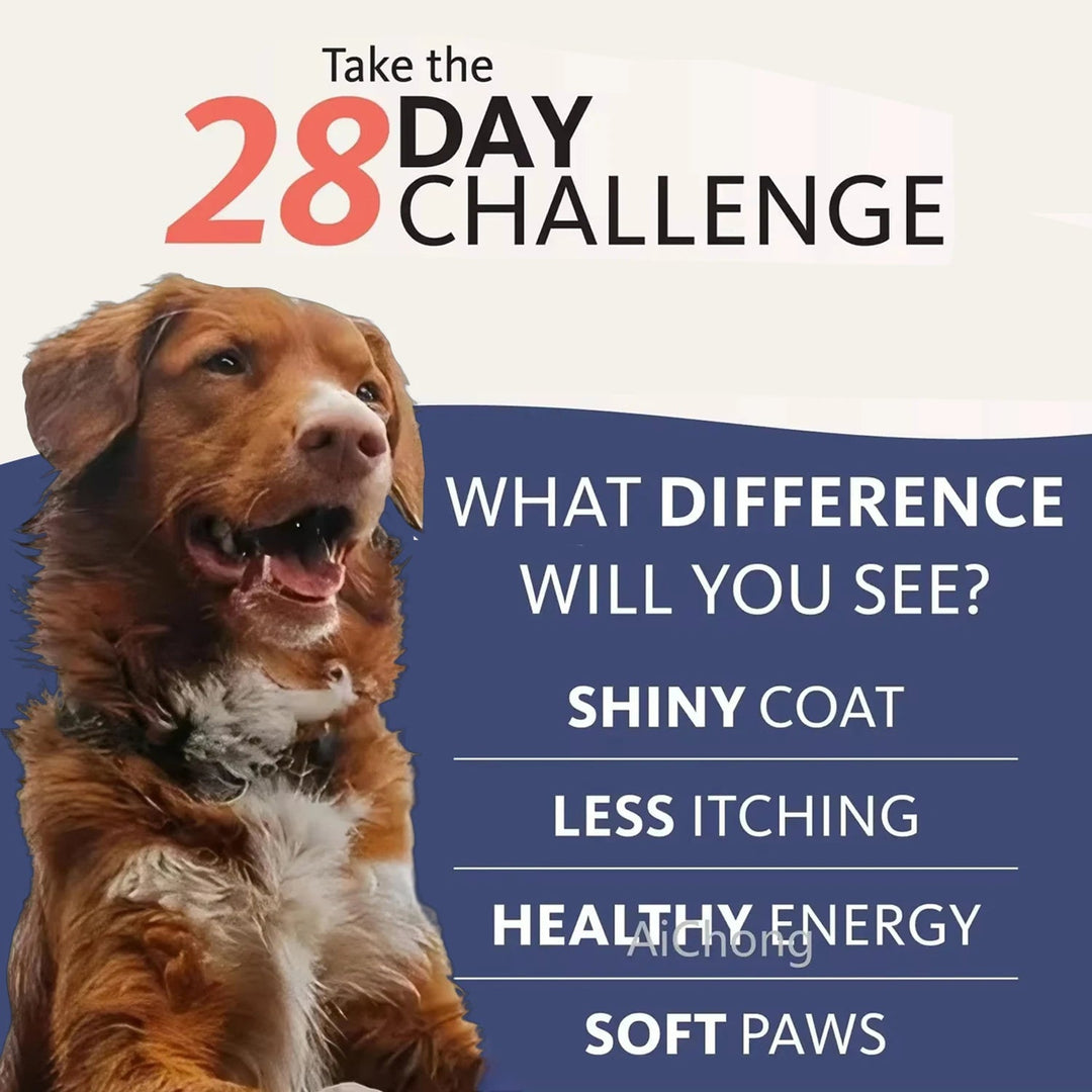 500ml Natural Salmon Oil for Dogs - Omega Fatty Acids Supplement - Human Grade Nutritional Health Support - Pawtique