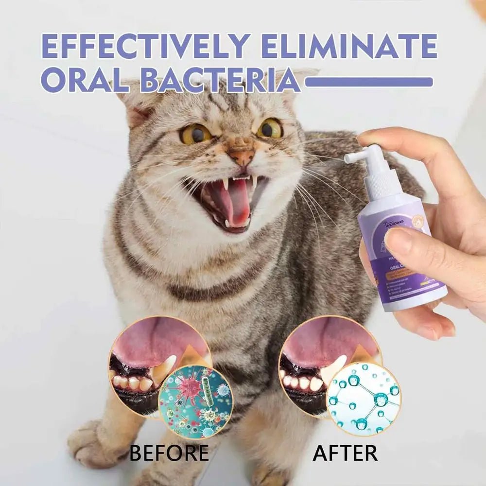 50ml Pet Oral Cleanse Spray Dogs Mouth Fresh Teeth Clean Deodorant Prevent - Pawtique