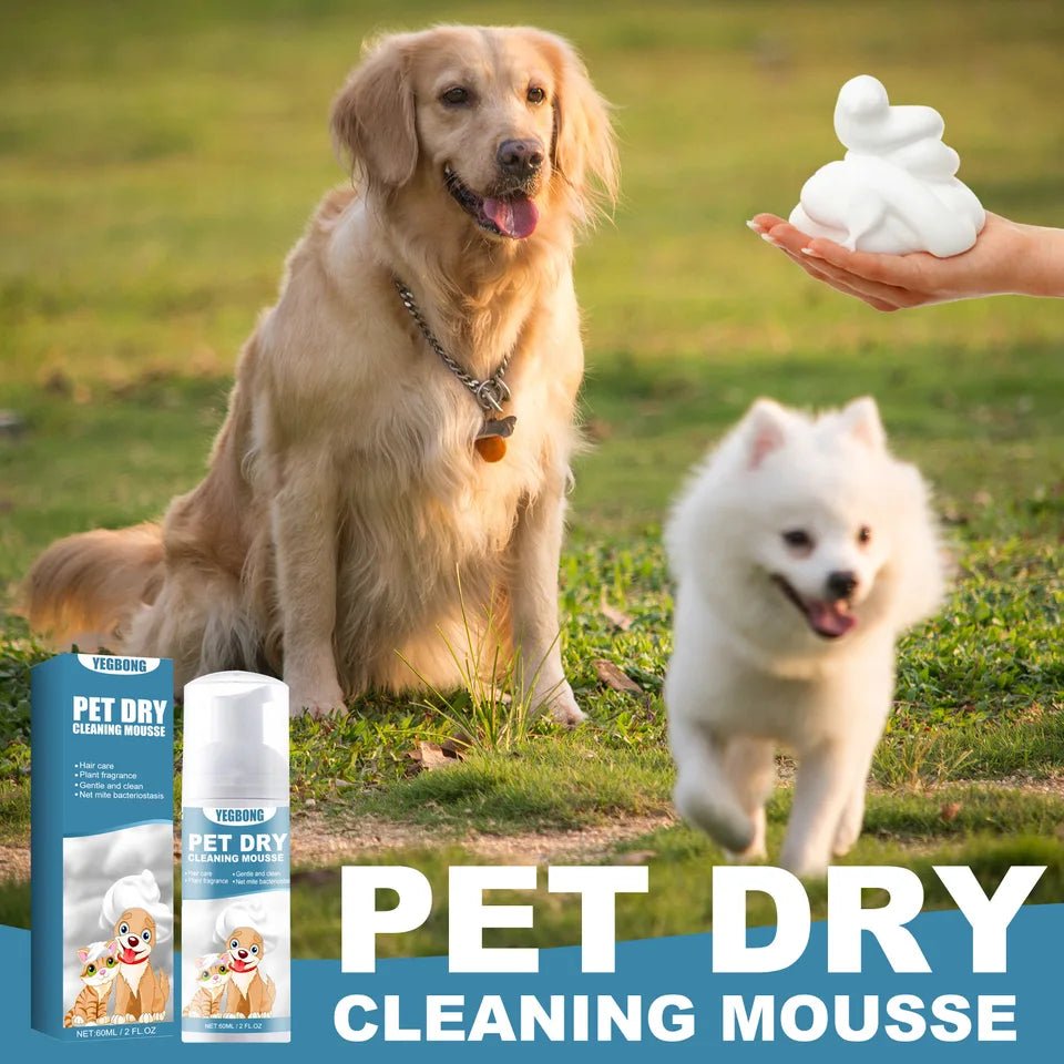 60ml Pet Dry Cleaning Deodorant Smooth Hair Foam Mousse - Pawtique