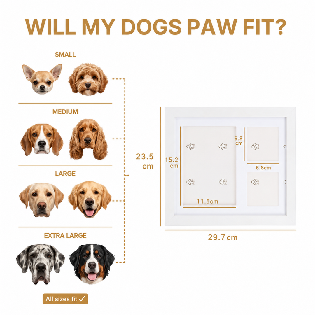 Pawtique ForeverPaw™ Keepsake Kit